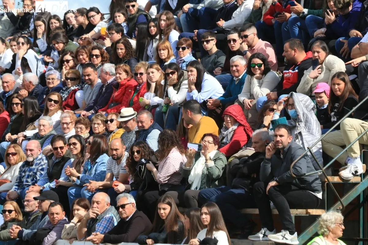IV Feria Solidaria del Caballo de Bañobárez / CORRAL