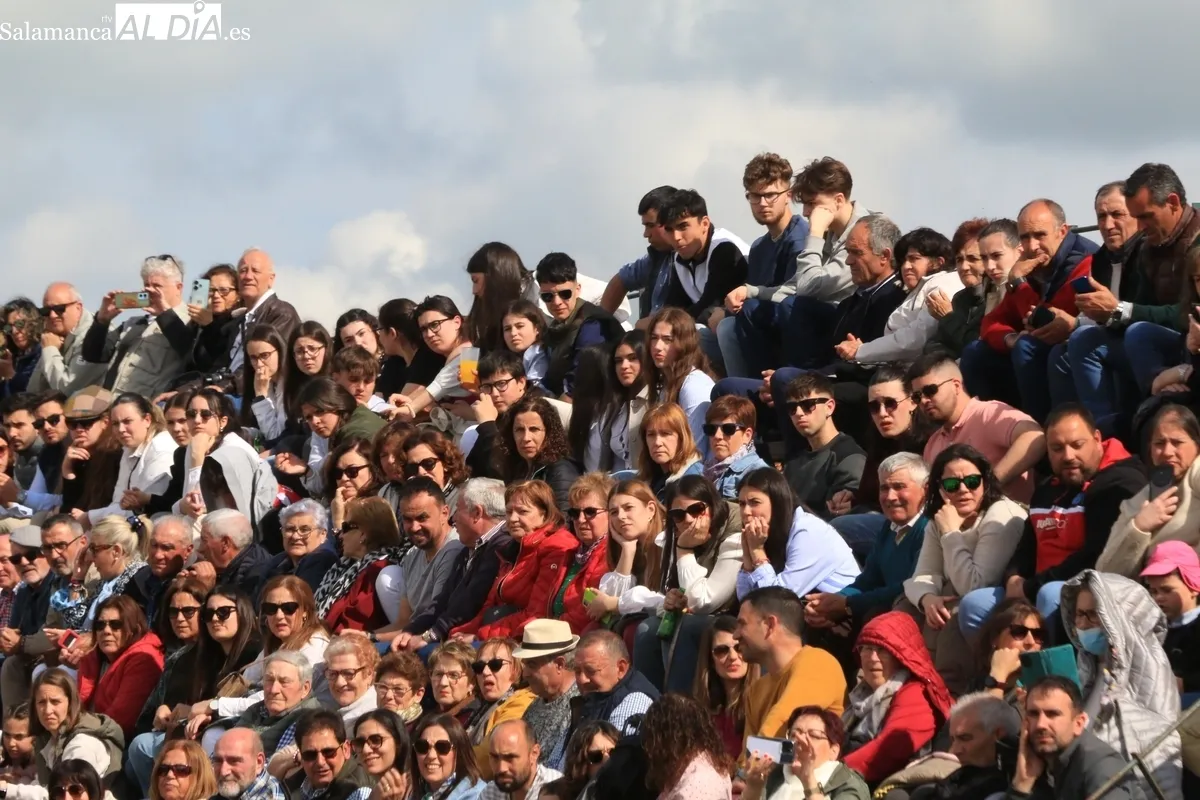 IV Feria Solidaria del Caballo de Bañobárez / CORRAL