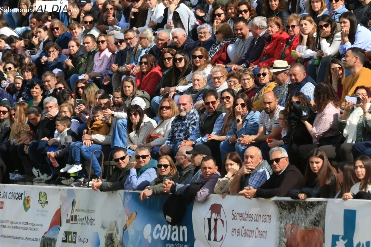 IV Feria Solidaria del Caballo de Bañobárez / CORRAL
