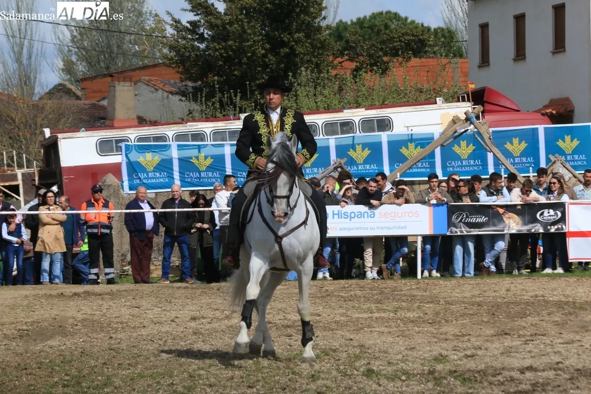 IV Feria Solidaria del Caballo de Bañobárez / CORRAL