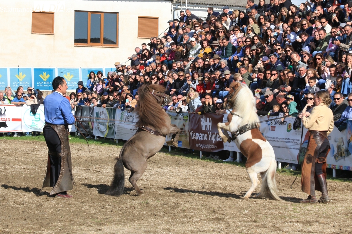 Nuevo éxito de la Feria Solidaria del Caballo de Bañobárez 