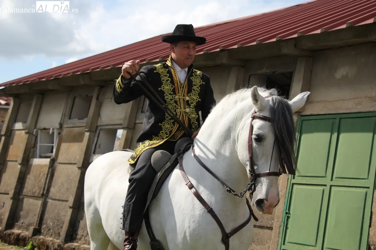 IV Feria Solidaria del Caballo de Bañobárez / CORRAL