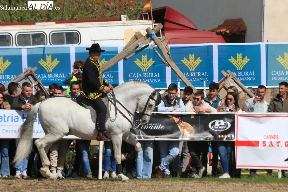 IV Feria Solidaria del Caballo de Bañobárez / CORRAL