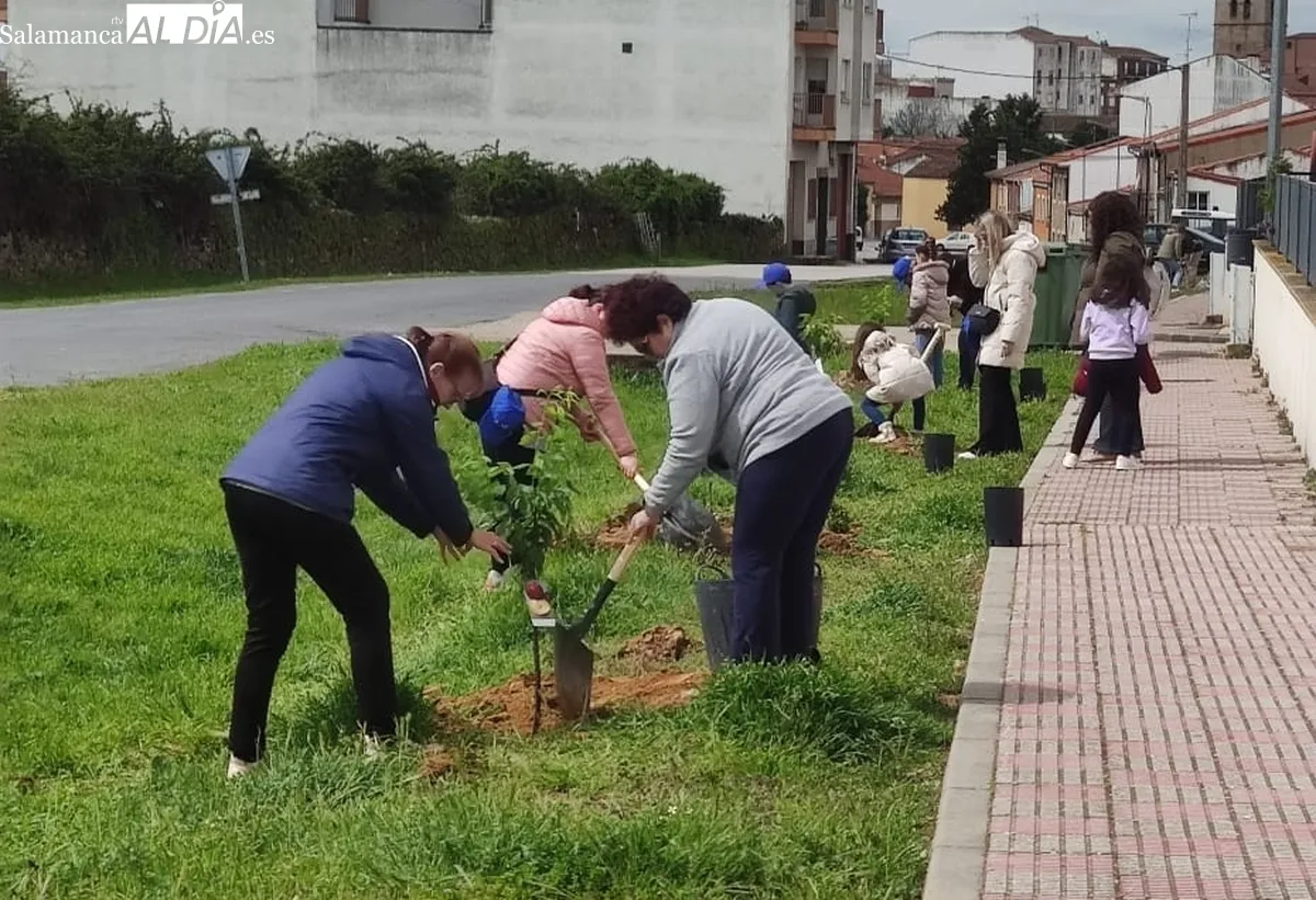 Festival Ecológico Arboleda en Vitigudino