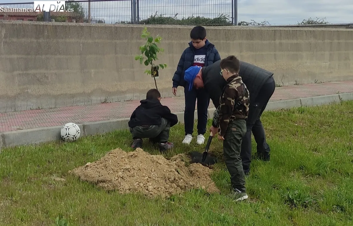 Festival Ecológico Arboleda en Vitigudino
