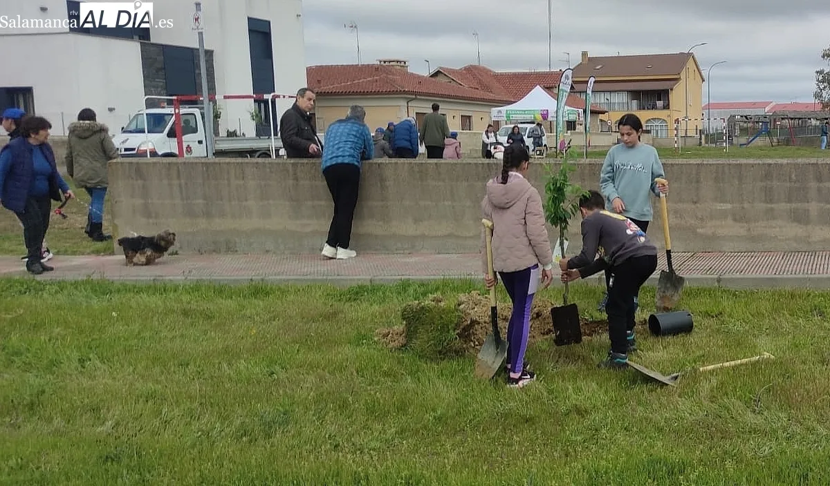 Festival Ecológico Arboleda en Vitigudino