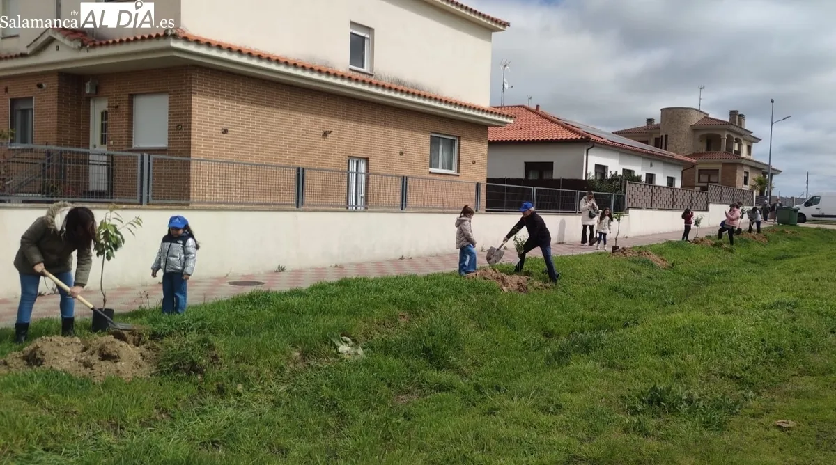 Festival Ecológico Arboleda en Vitigudino