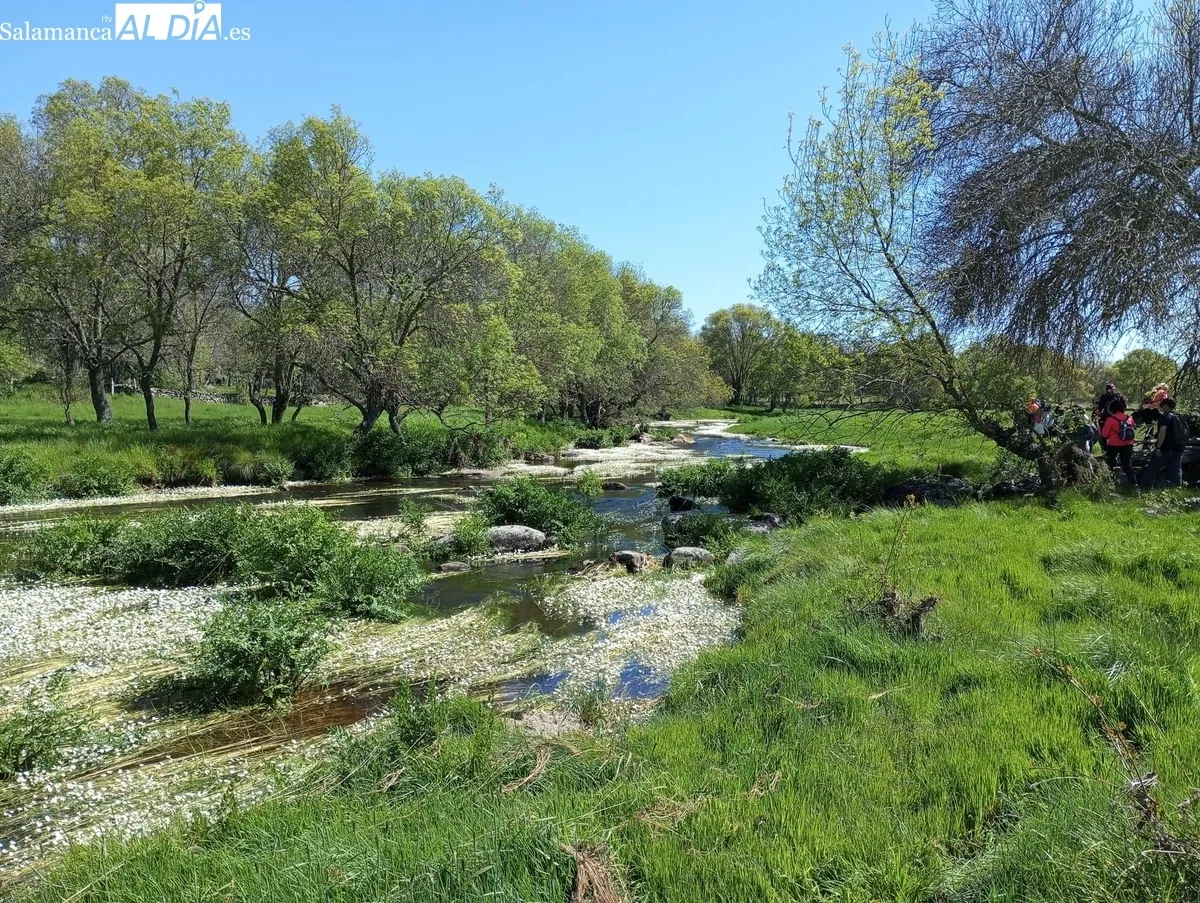 II Ruta Senderista de Valderrodrigo / FOTOS: LUIS MIGUEL SÁNCHEZ GIL