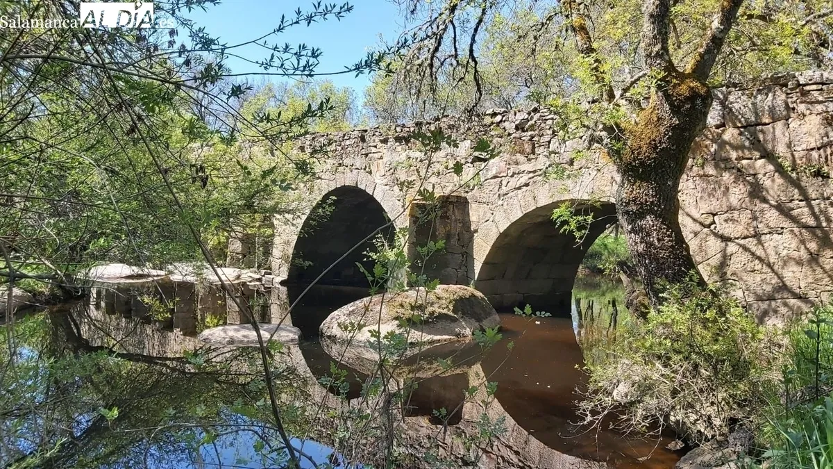 II Ruta Senderista de Valderrodrigo / FOTOS: LUIS MIGUEL SÁNCHEZ GIL