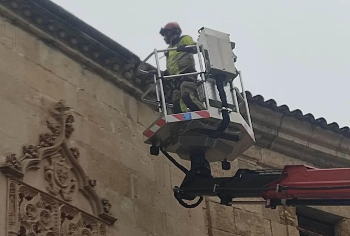 Foto 2 - La cornisa del Palacio de Cartago sufre un desprendimiento