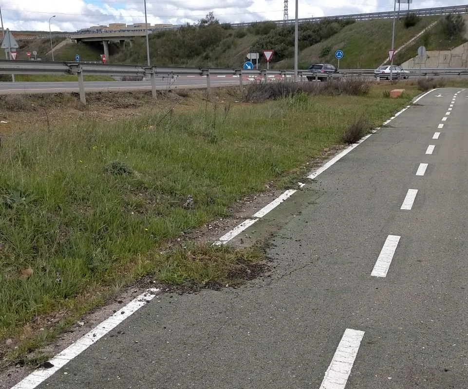 Foto 2 - FOTODENUNCIA | El carril bici en Salamanca que se deteriora con hierba y grietas que invaden el asfalto