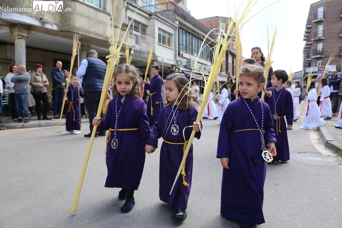 Procesión de la Borriquilla en Vitigudino / CORRAL
