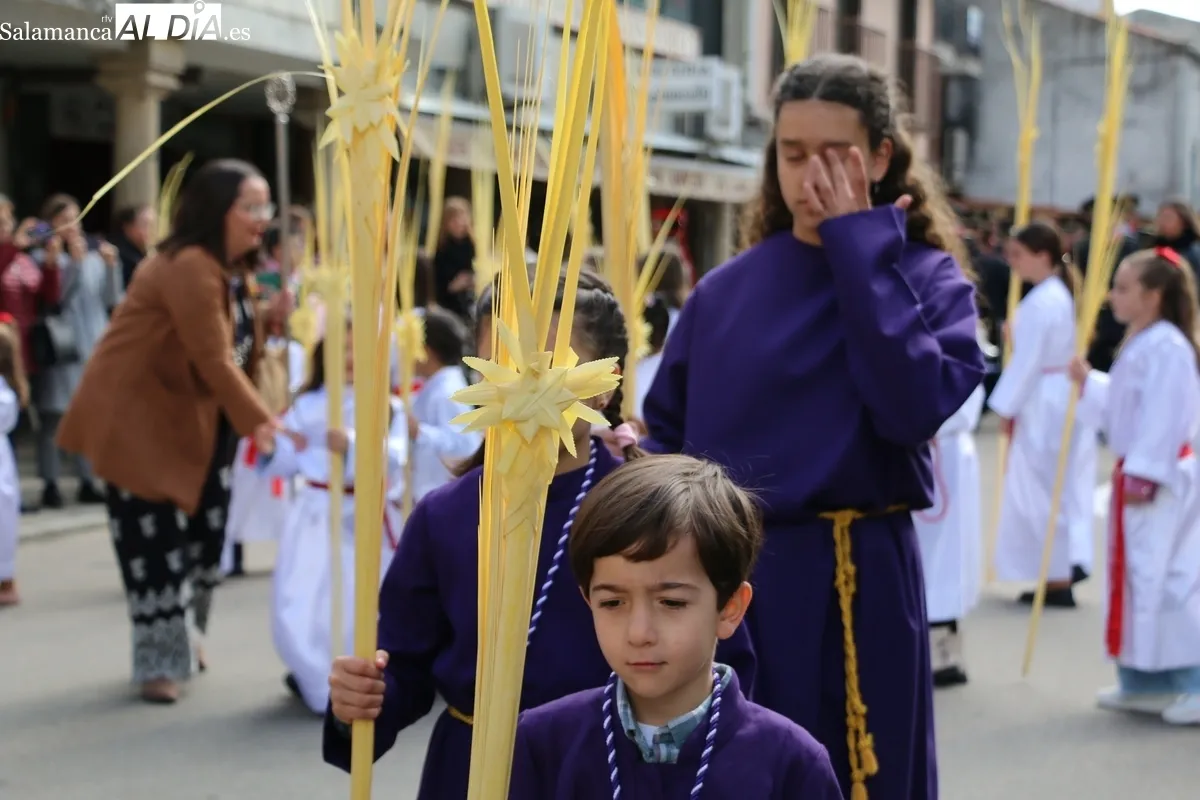 Procesión de la Borriquilla en Vitigudino / CORRAL