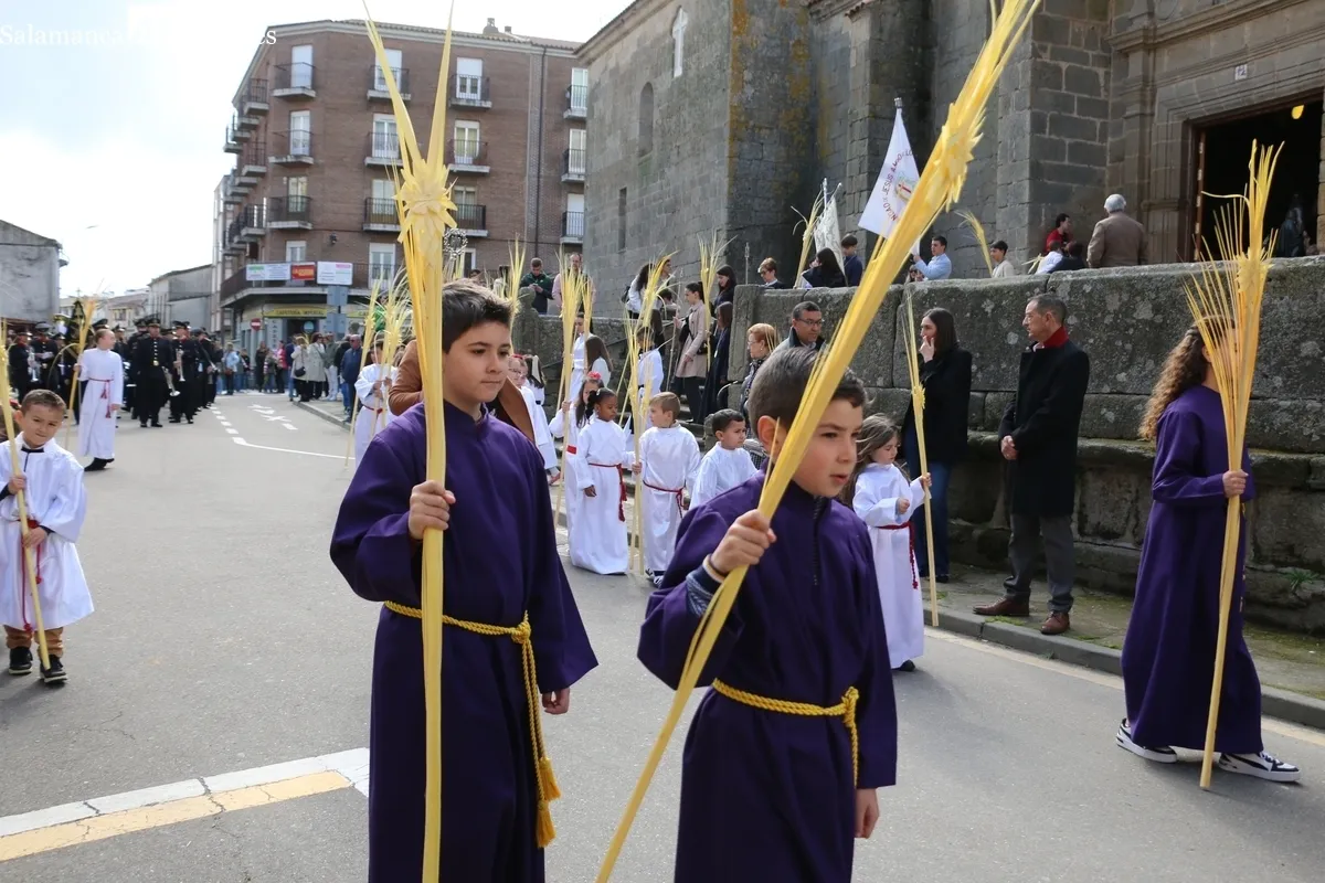 Procesión de la Borriquilla en Vitigudino / CORRAL