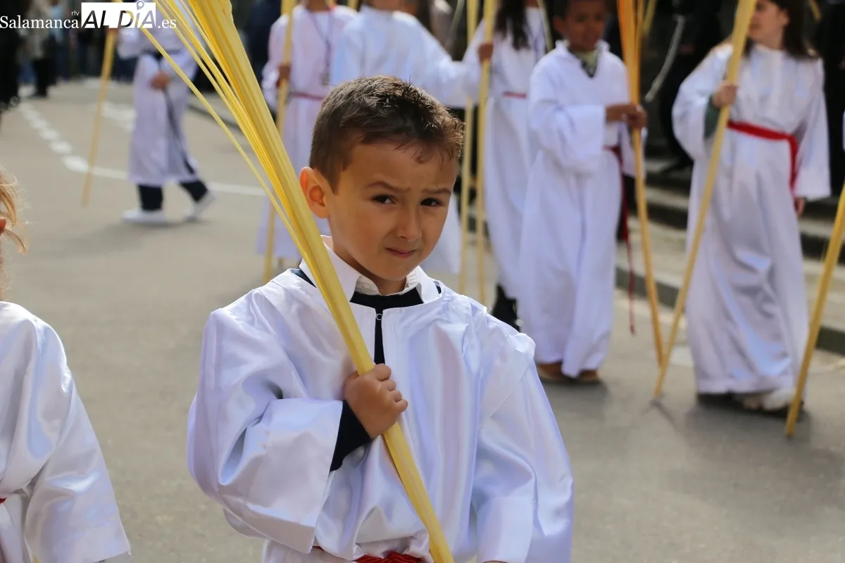 Procesión de la Borriquilla en Vitigudino / CORRAL