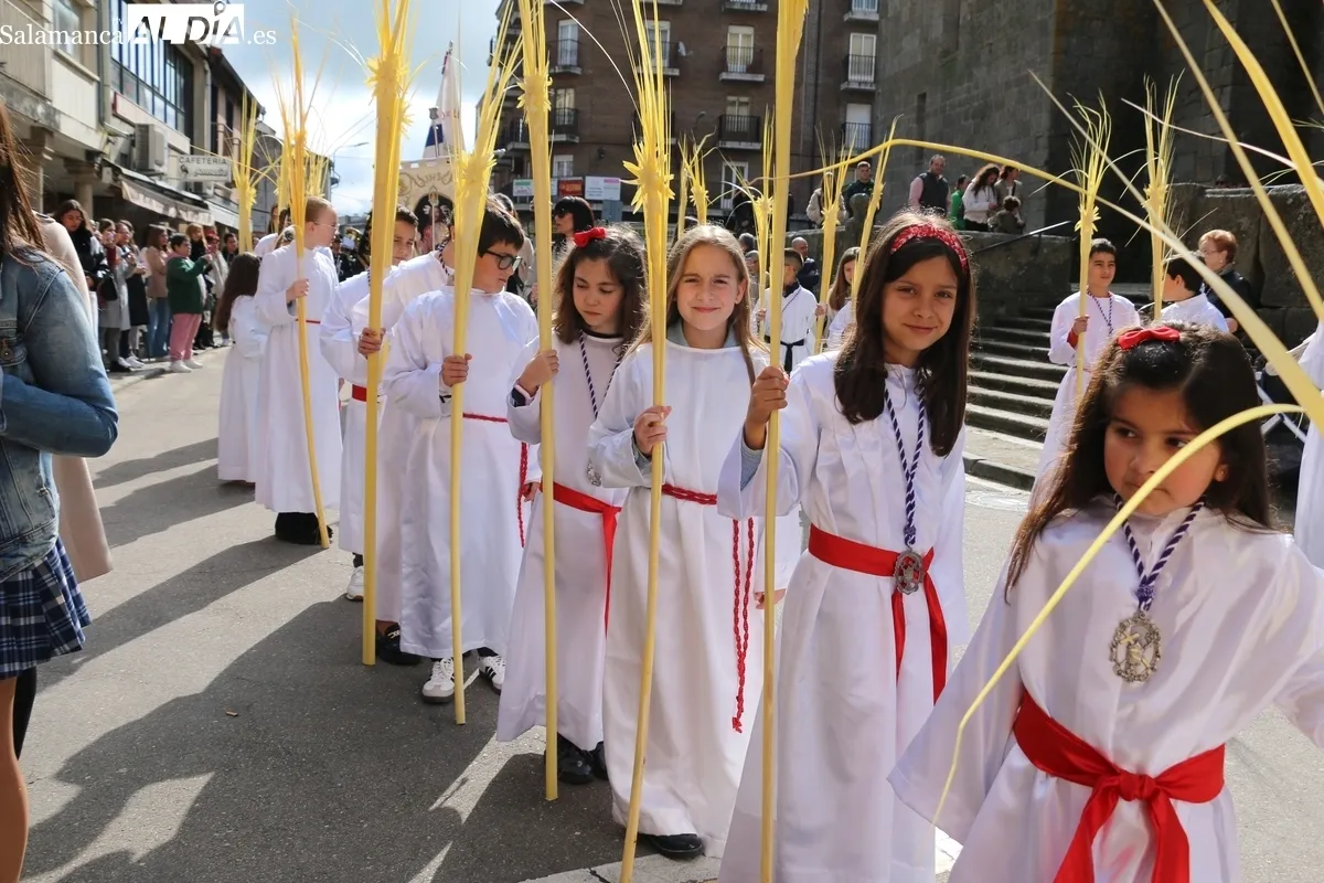 Procesión de la Borriquilla en Vitigudino / CORRAL