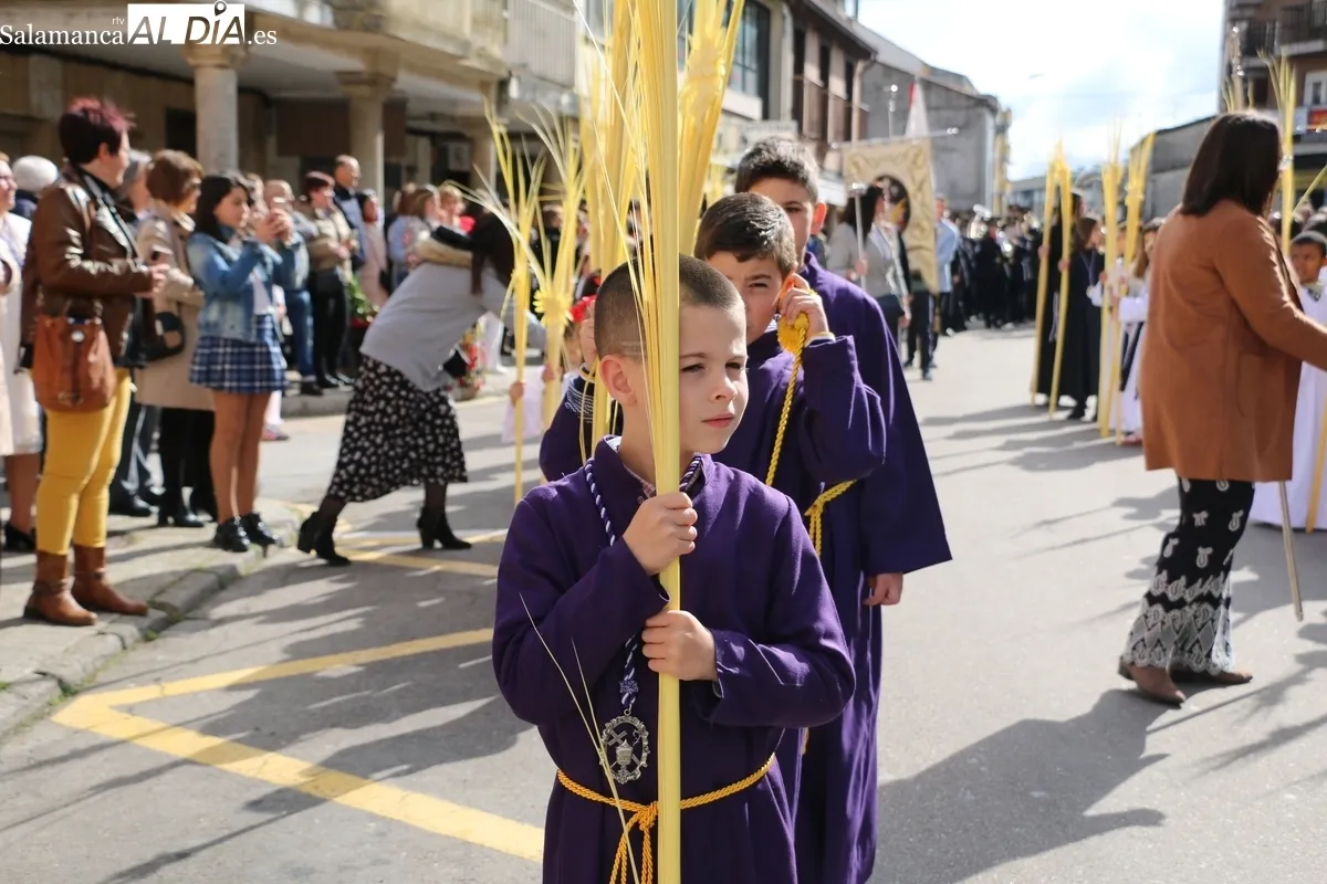 Procesión de la Borriquilla en Vitigudino / CORRAL