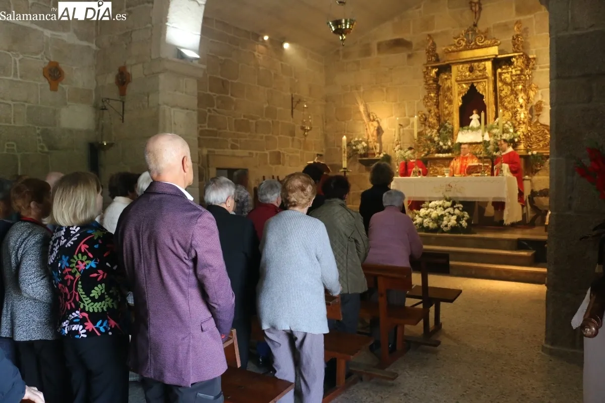 Celebración de San Marcos en Cerezal de Peñahorcada / CORRAL 