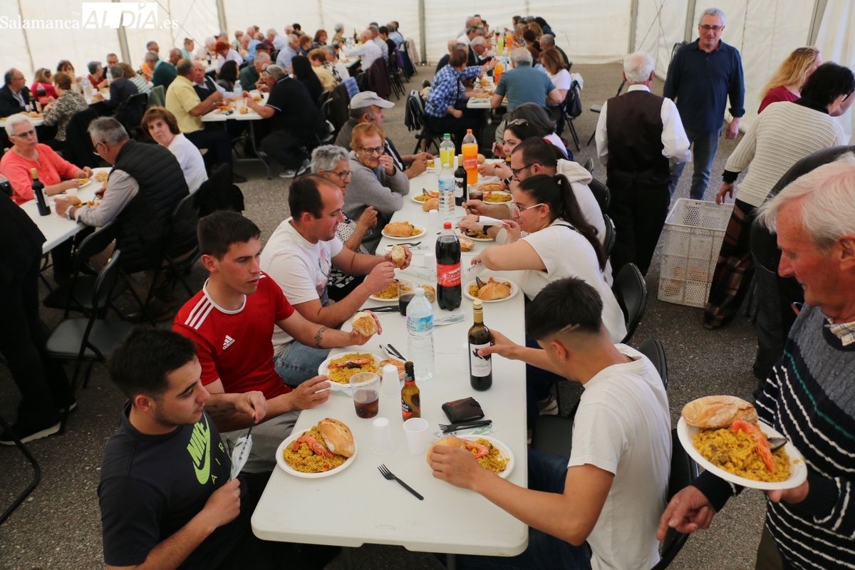 Fiestas de San Marcos en Cerezal de Peñahorcada