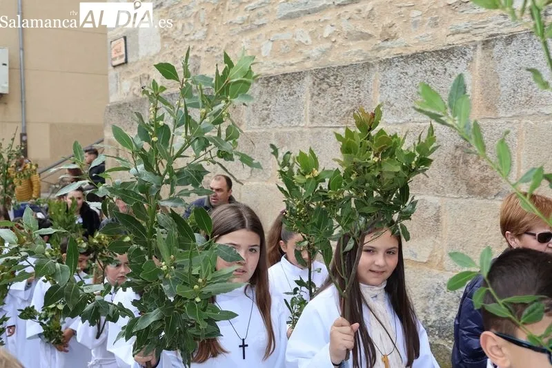 Foto 4 - Los ni&ntilde;os protagonizan el Domingo de Ramos 