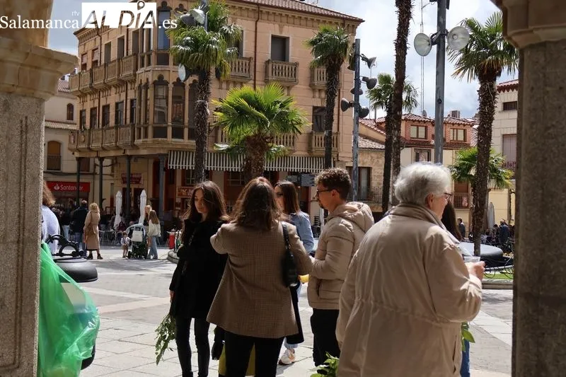 Foto 7 - Gran acogida a la ensalada de limones y naranjas en la Plaza Mayor