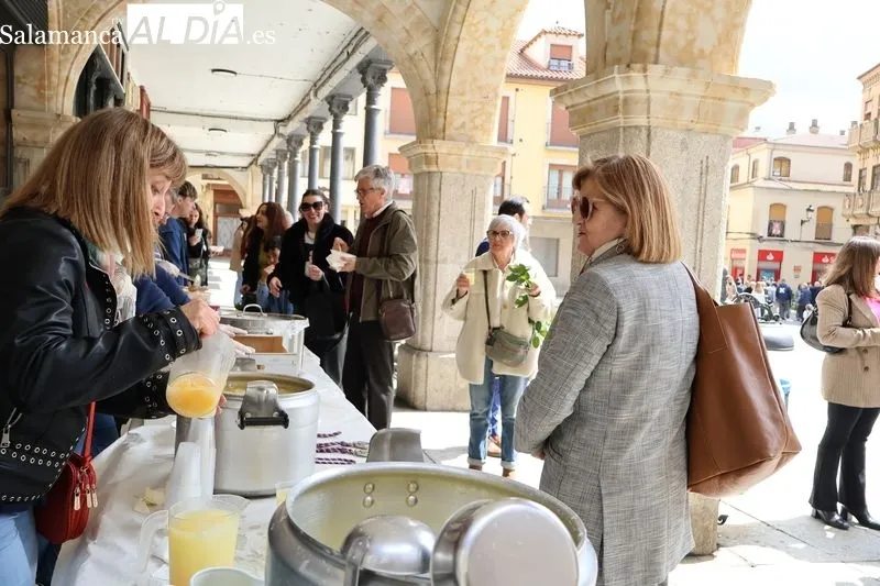 Foto 5 - Gran acogida a la ensalada de limones y naranjas en la Plaza Mayor