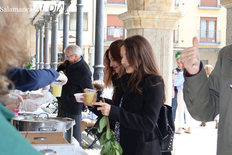 Gran acogida a la ensalada de limones y naranjas en la Plaza Mayor