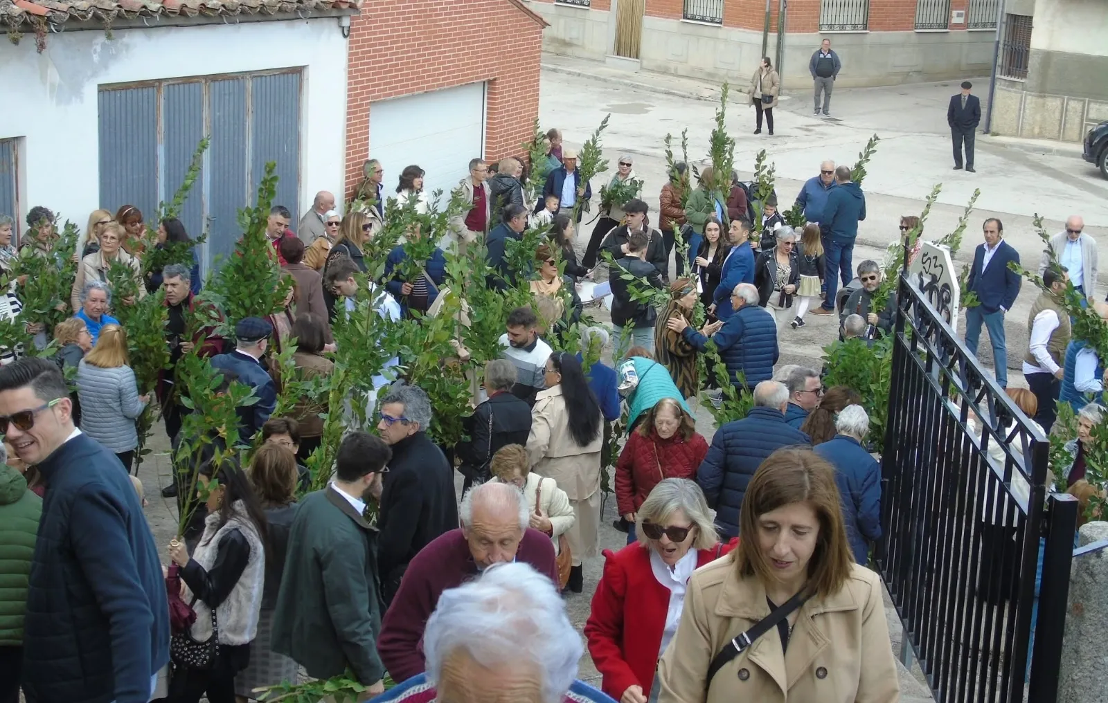 Domingo de Ramos en Macotera