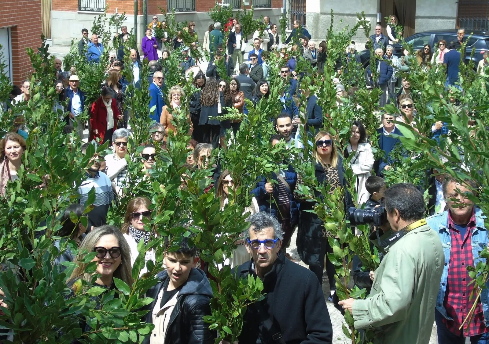Domingo de Ramos en Macotera