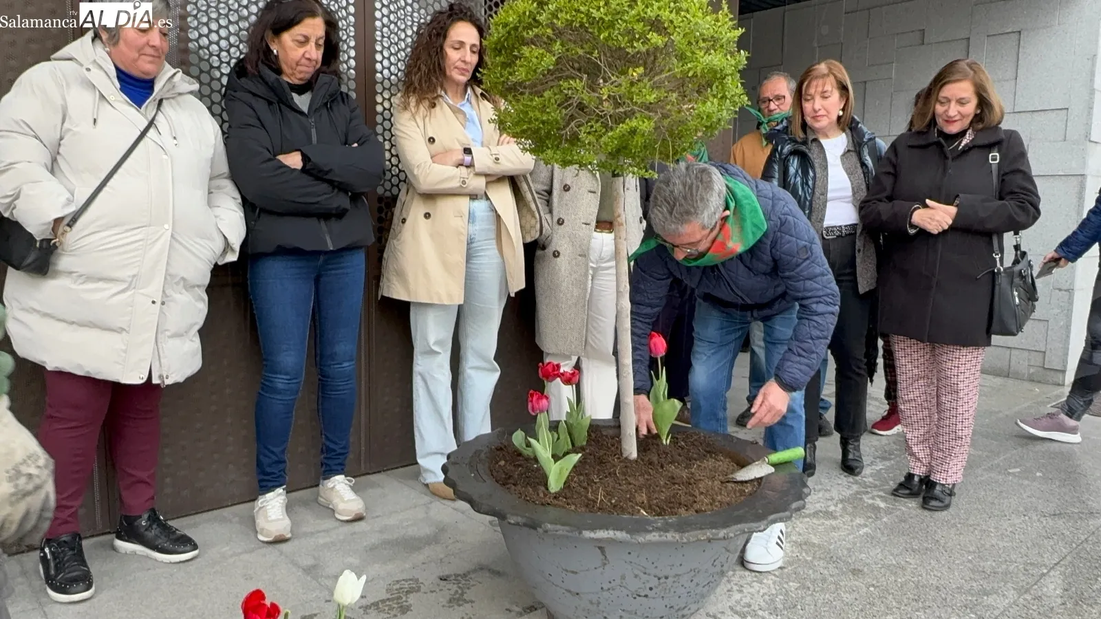 Foto 5 - Tulipanes rojos en Pe&ntilde;aranda para conmemorar el D&iacute;a Mundial del P&aacute;rkinson