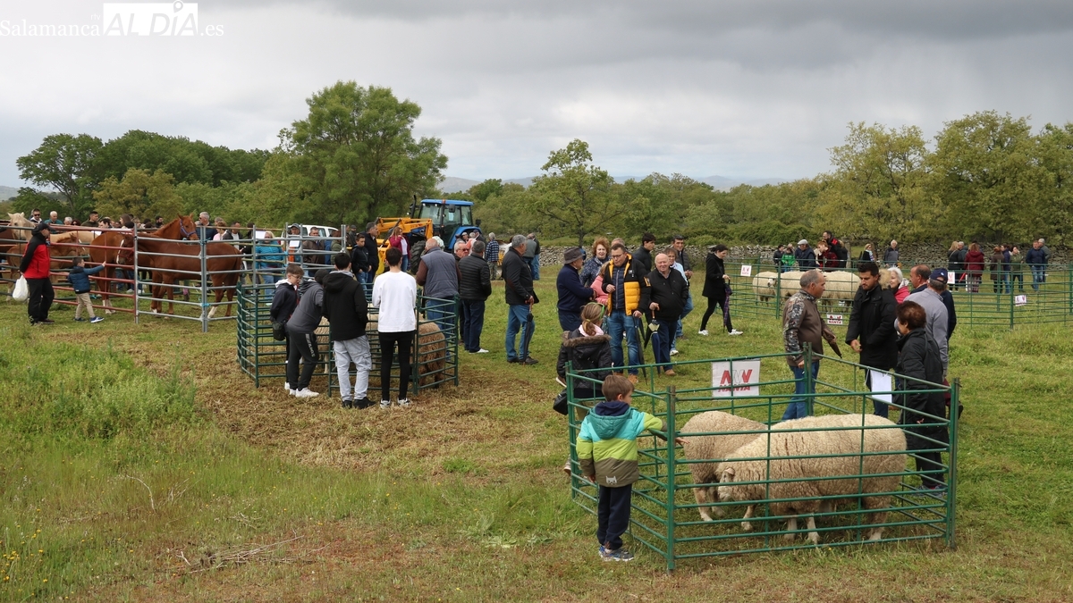 Mañueco recogerá mañana en Barruecopardo la Medalla Municipal otorgada a la Junta de Castilla y León