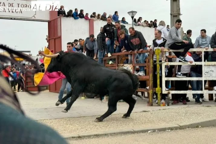 Tres jornadas de celebración para vivir las esperadas Fiestas del Voto en Villoria