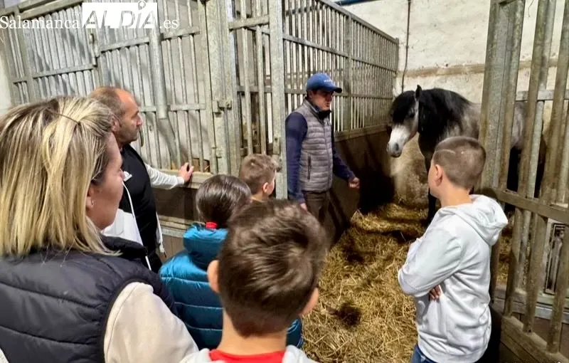 Visita de Juventud Taurina de Salamanca a la cuadra de Sergio Pérez de Gregorio