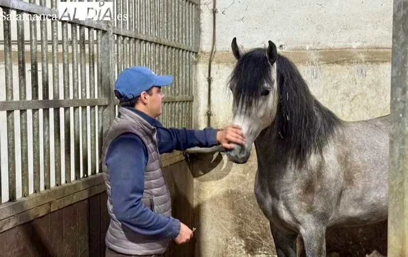 Visita de Juventud Taurina de Salamanca a la cuadra de Sergio Pérez de Gregorio