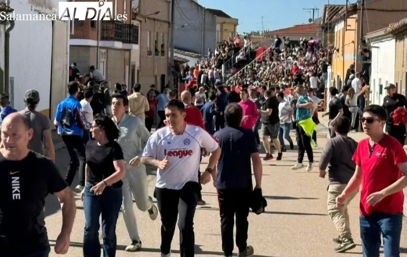 Toro del Voto en Villoria