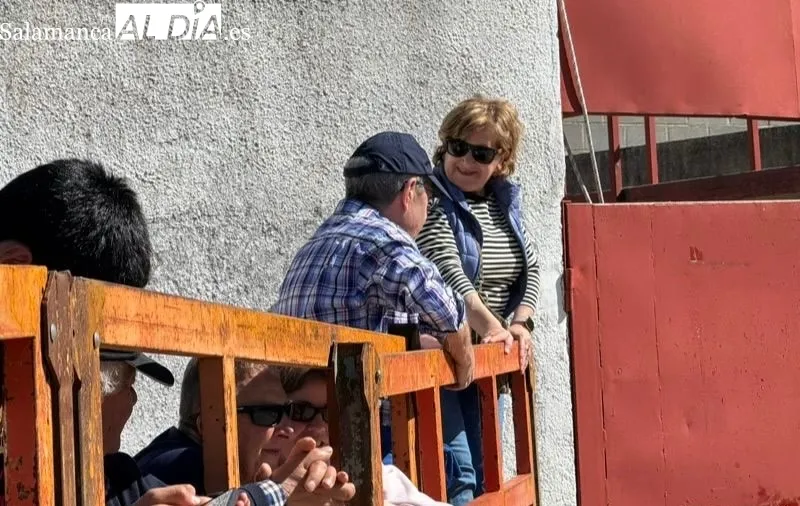 Toro del Voto en Villoria