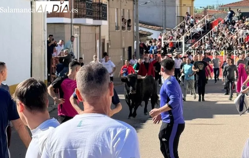 Toro del Voto en Villoria