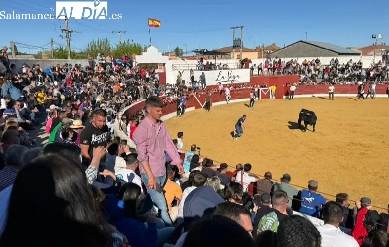 Toro del Voto en Villoria