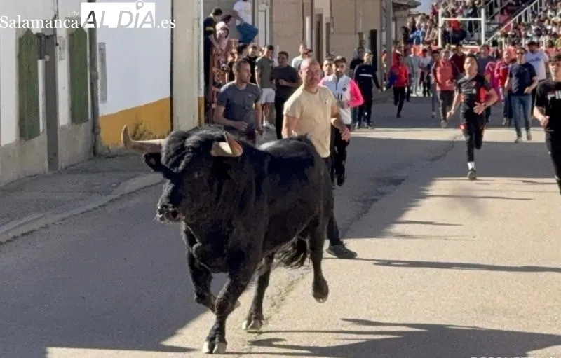 Toro del Voto en Villoria