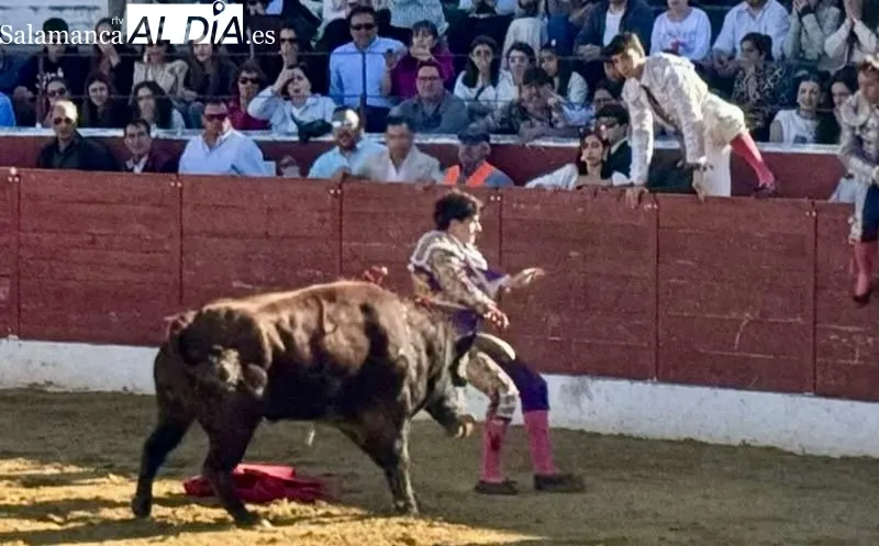 Novillada con Picadores en Villoria