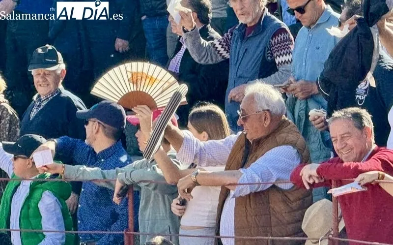 Novillada con Picadores en Villoria