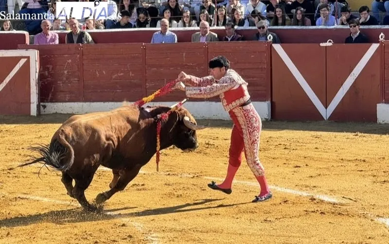 Novillada con Picadores en Villoria
