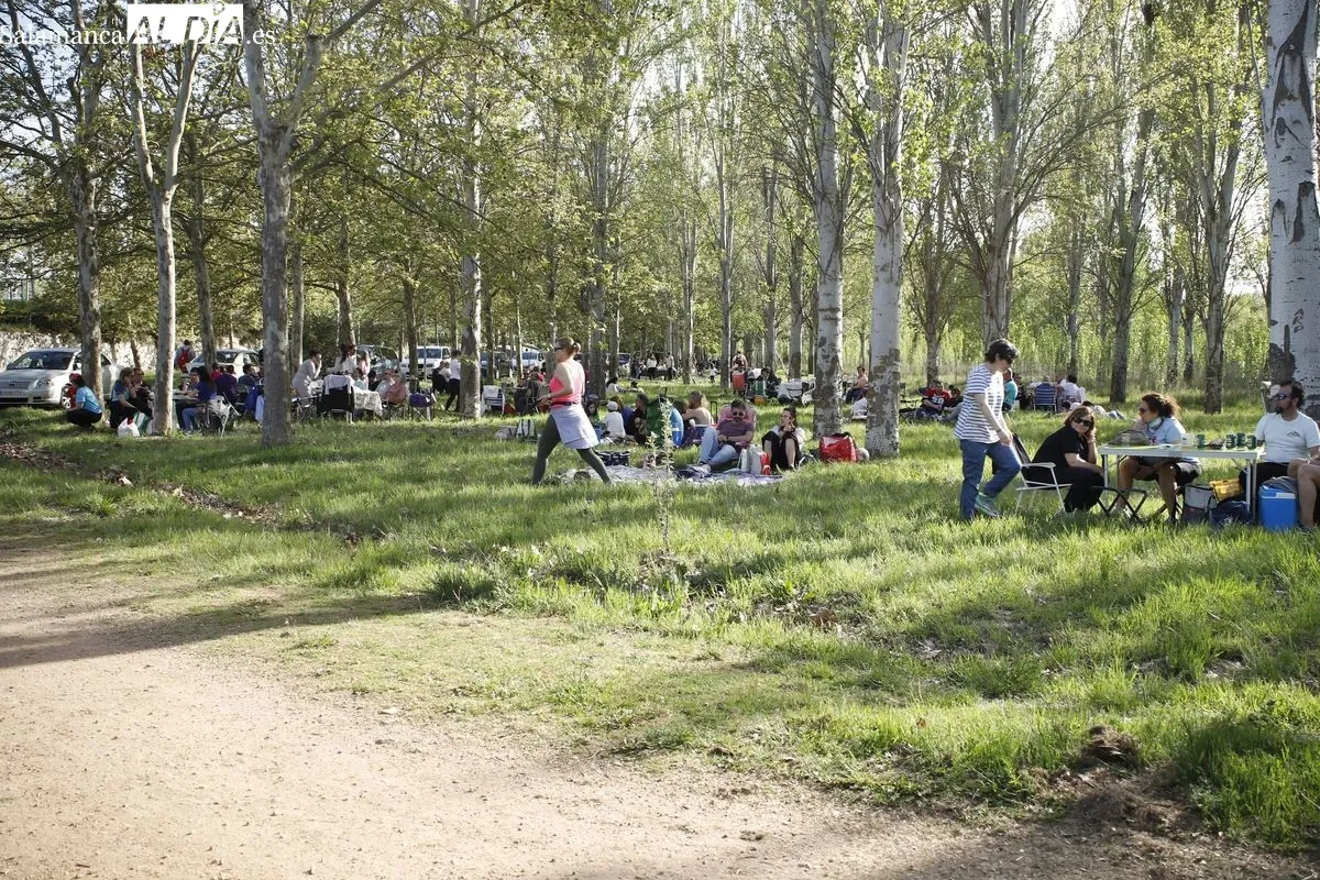 Lunes de Aguas en el parque del Zurguén. Fotos: Ángel Puma