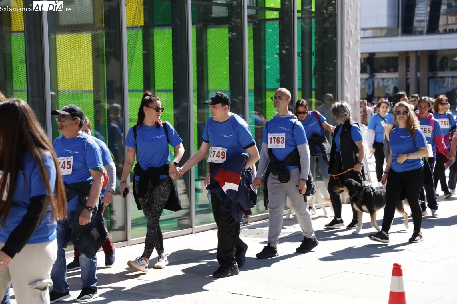 Marcha solidaria Día de Castilla y León | Fotos: David Sañudo