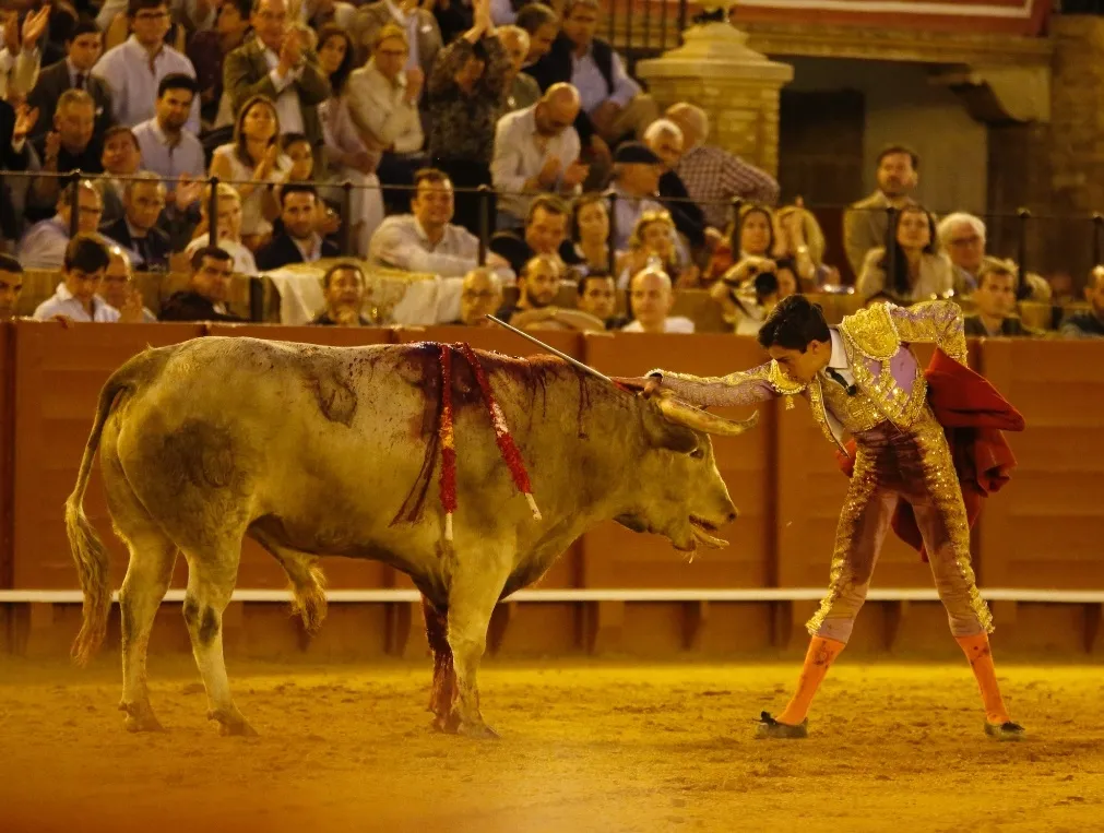 Marco Pérez en La Maestranza | Fotos: Empresa Pagés 