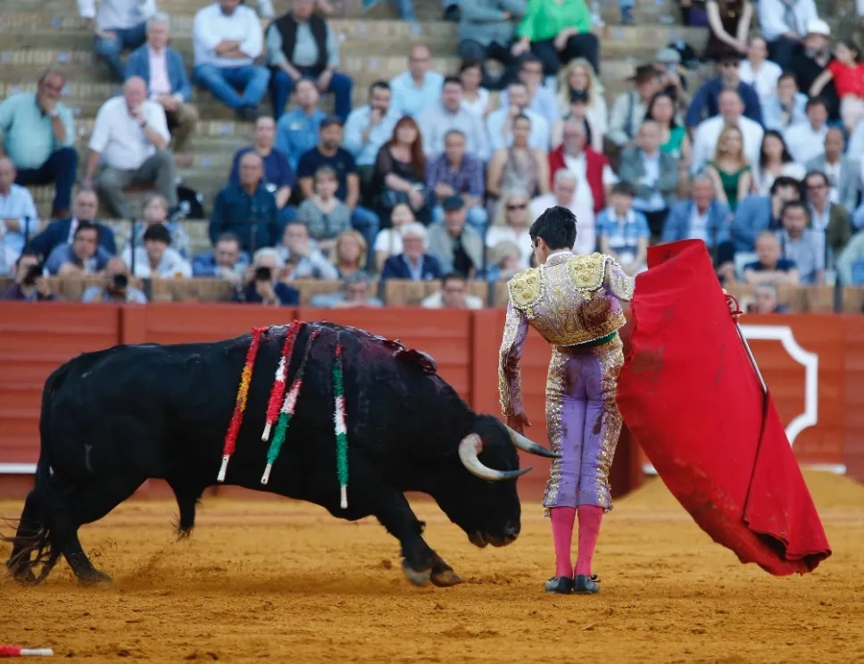 Marco Pérez en La Maestranza | Fotos: Empresa Pagés 