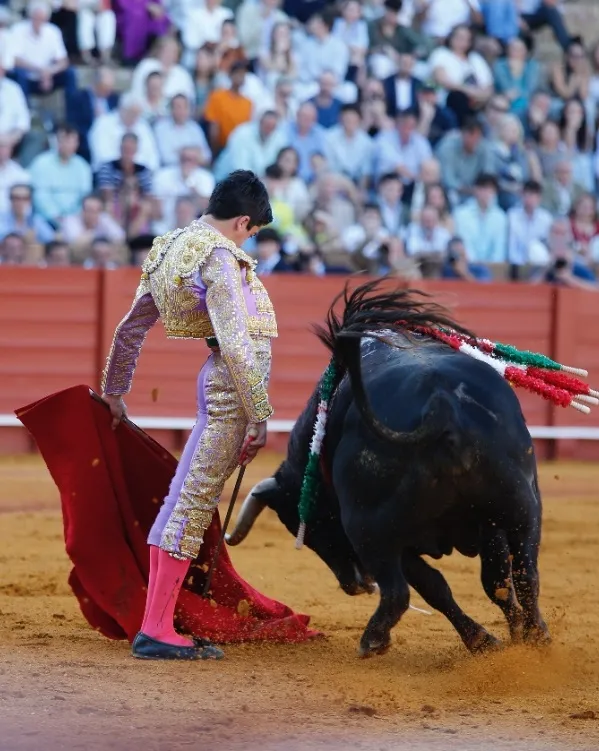 Marco Pérez en La Maestranza | Fotos: Empresa Pagés 