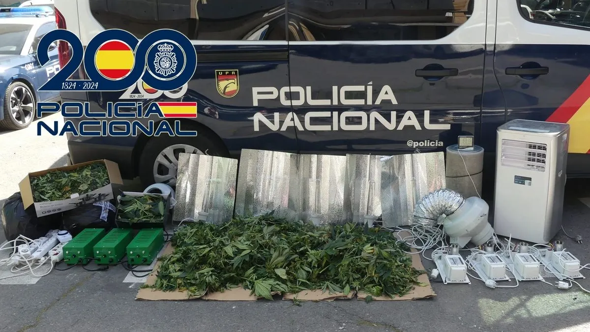 Droga, dinero y material intervenido en la Operación Larare, en Salamanca