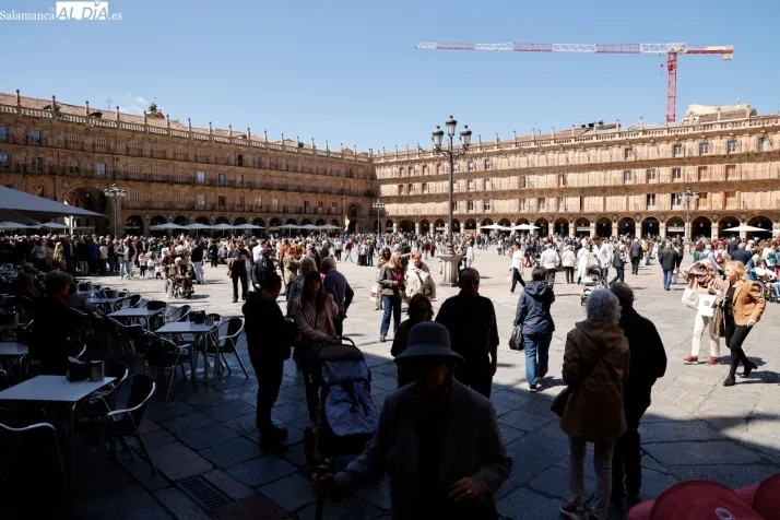 Foto 7 - FOTOS | La primavera se apodera de la Plaza Mayor de Salamanca