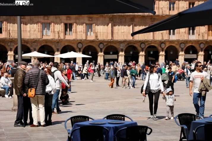 Foto 5 - FOTOS | La primavera se apodera de la Plaza Mayor de Salamanca